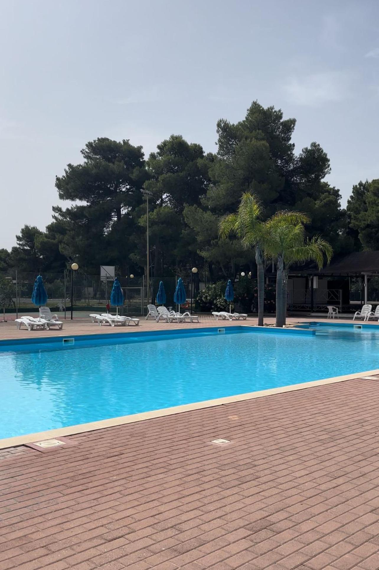Apartament A Casa Da Carla Vieste Zewnętrze zdjęcie